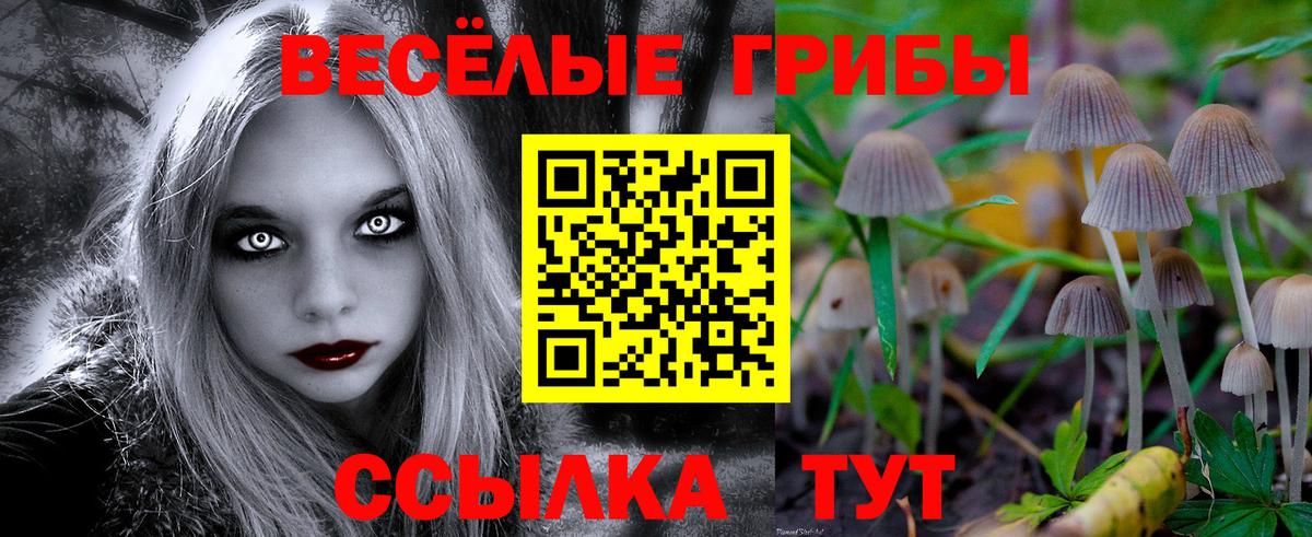 Междуреченск  Псилоцибиновые грибы прущие грибы  Вход с VPN 